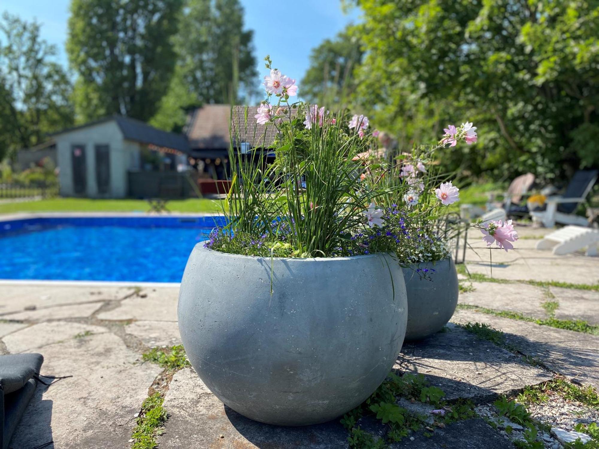 Gra Gasen Hotel Burgsvik Buitenkant foto